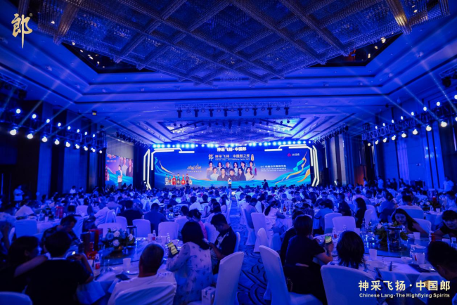 保险业赔付率解析：关键指标与行业影响