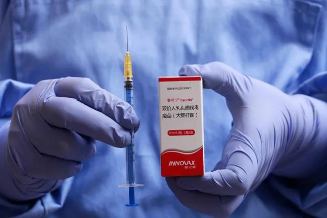 贸易顺差的双重面孔：经济优势与结构隐忧