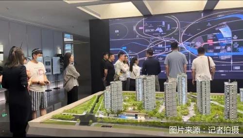 货币政策新动向：全球经济格局下的挑战与应对