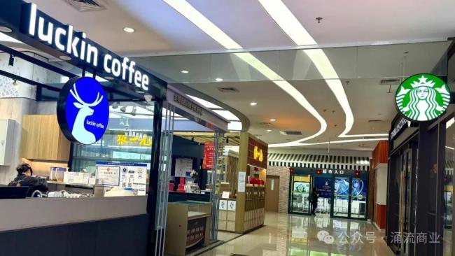 对冲基金：复杂市场中的精密策略引擎