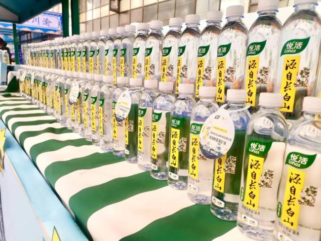 转移支付：区域均衡发展的财政纽带