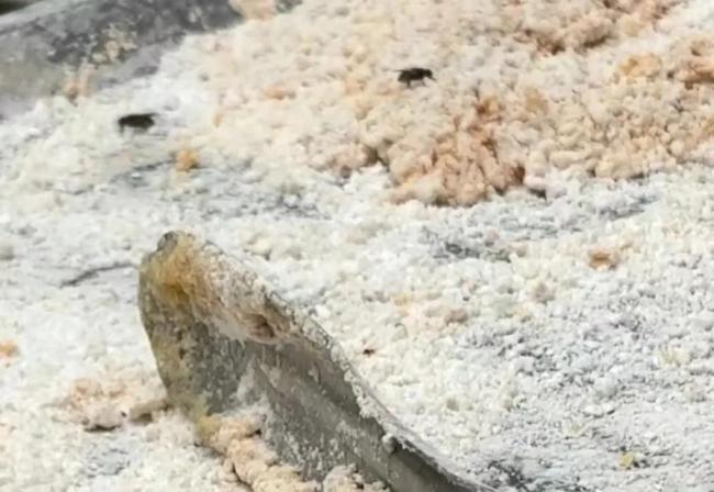 万能险：灵活与保障的现代保险解决方案