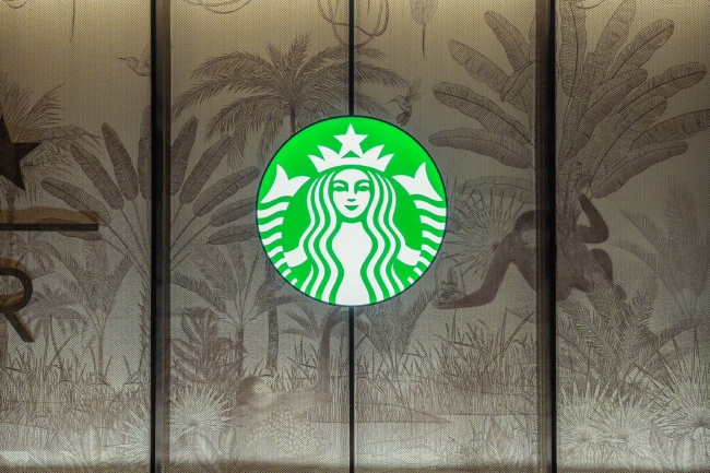 强化财政纪律：筑牢经济可持续发展的根基