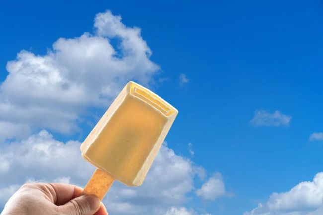 债转股：企业债务重组与资本结构优化的战略选择