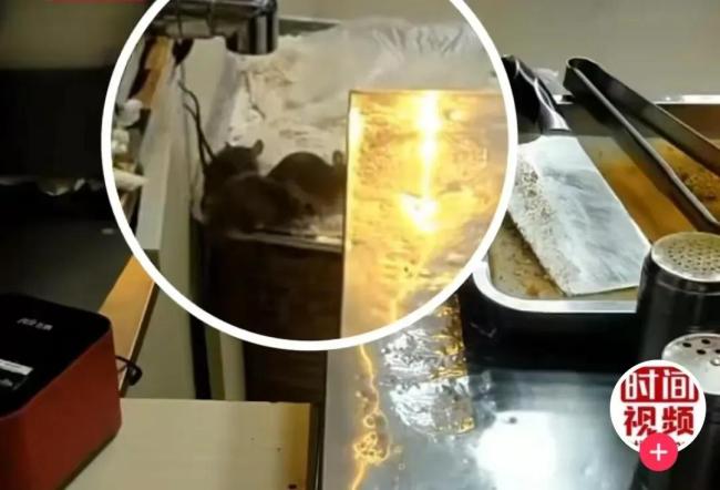 信用违约互换：管理信用风险的关键工具